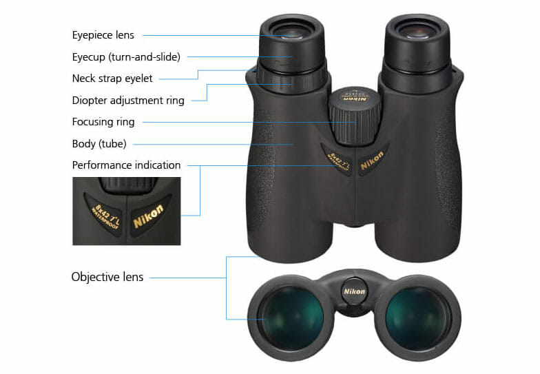 How to Use Binoculars