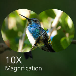10x Magnification