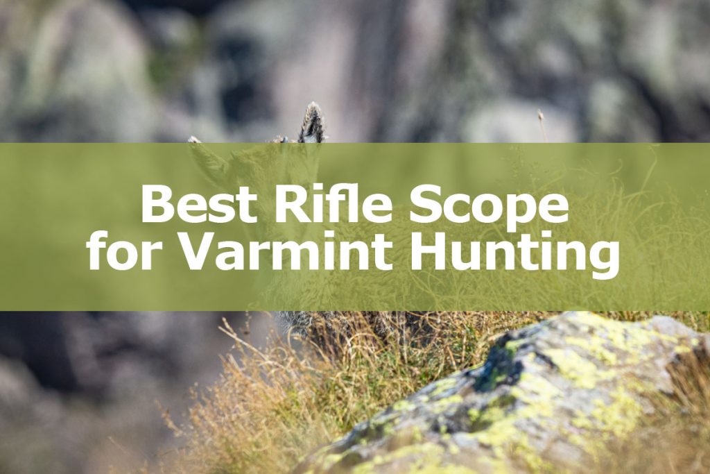 Best Rifle Scope for Varmint Hunting
