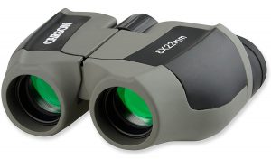 Carson Scout Series 8x22mm Binoculars
