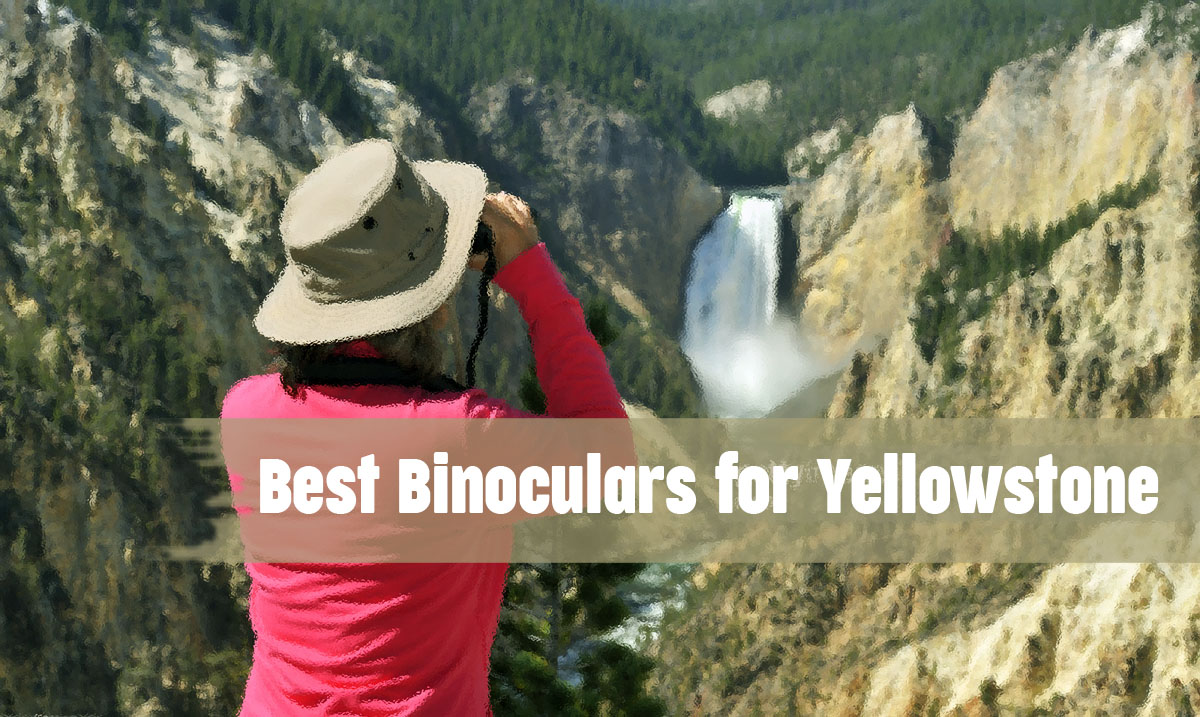 Best Binoculars for Yellowstone