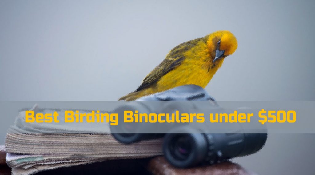 Best Birding Binoculars under $500