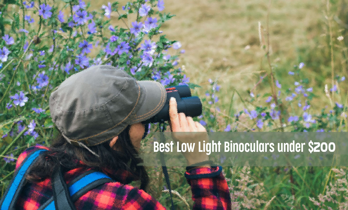 Best Low Light Binoculars under $200