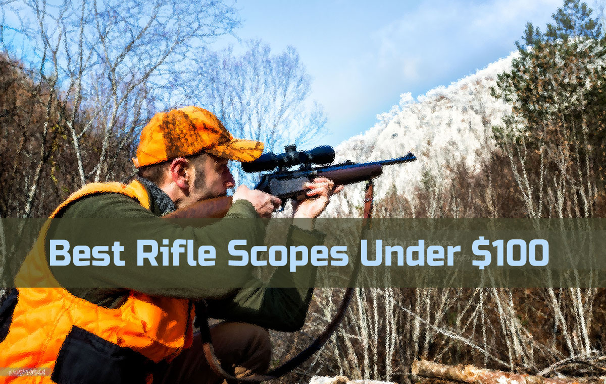 Best Rifle Scopes Under $100