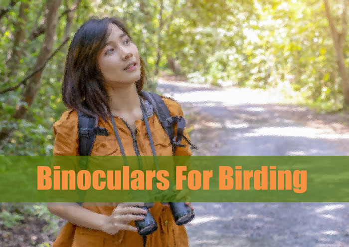 Best Small Binoculars For Birding