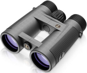 Leupold BX-4 10x42mm Binocular