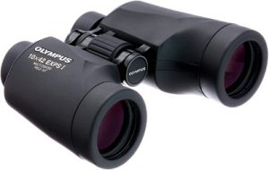 Olympus 10 X 42 EXPS 1 Binoculars