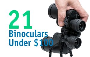 best binoculars under $100