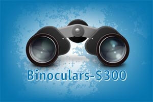 Best Binoculars Under $300