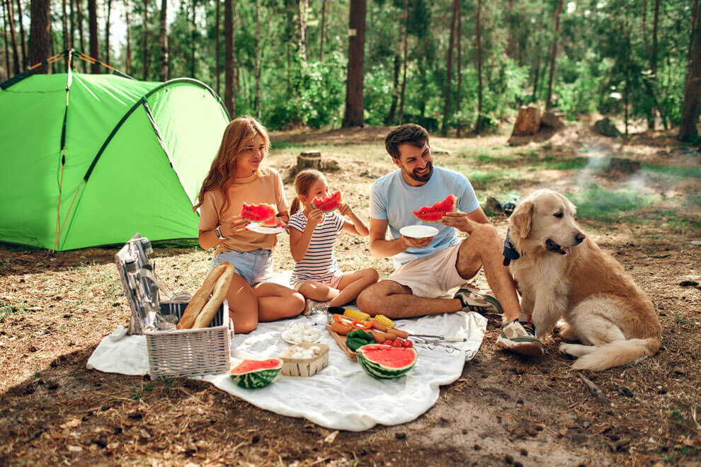 Camping family with child dog