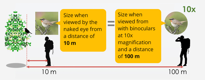 Magnification by distance