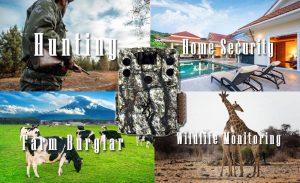 Best Browning Trail Cameras