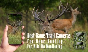 Best Game Trail Cameras