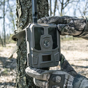 Best Trail Cameras For Deer Hunting