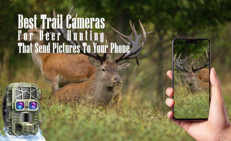 Best Trail Cameras For Deer Hunting That Send Pictures To Your Phone