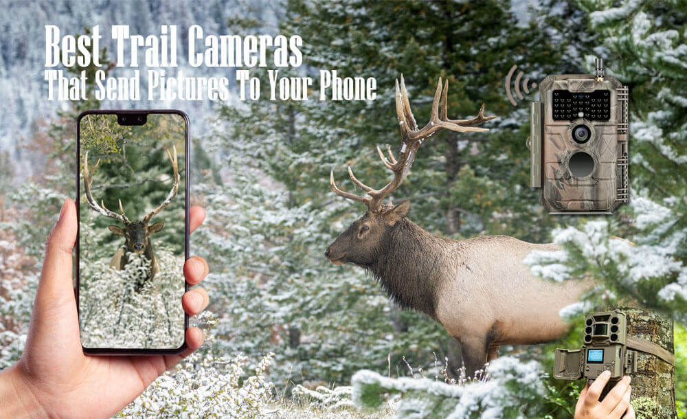 Best Trail Cameras That Send Pictures To Your Phone