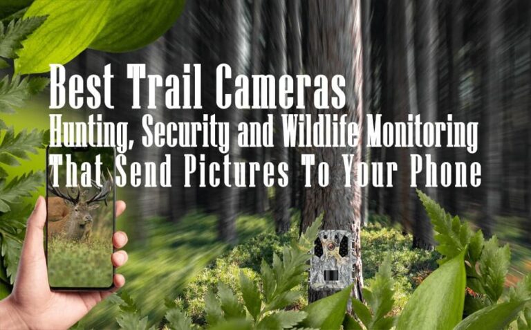 Best Trail Cameras Under $50