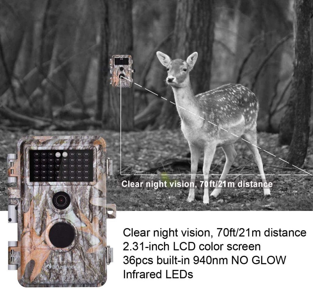 BlazeVideo 2-Pack Game Trail Deer Cameras