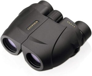 Leupold BX-1 Rogue Binocular