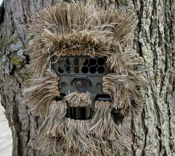 Trail camera camouflage