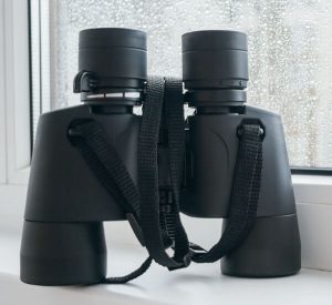 best binocular