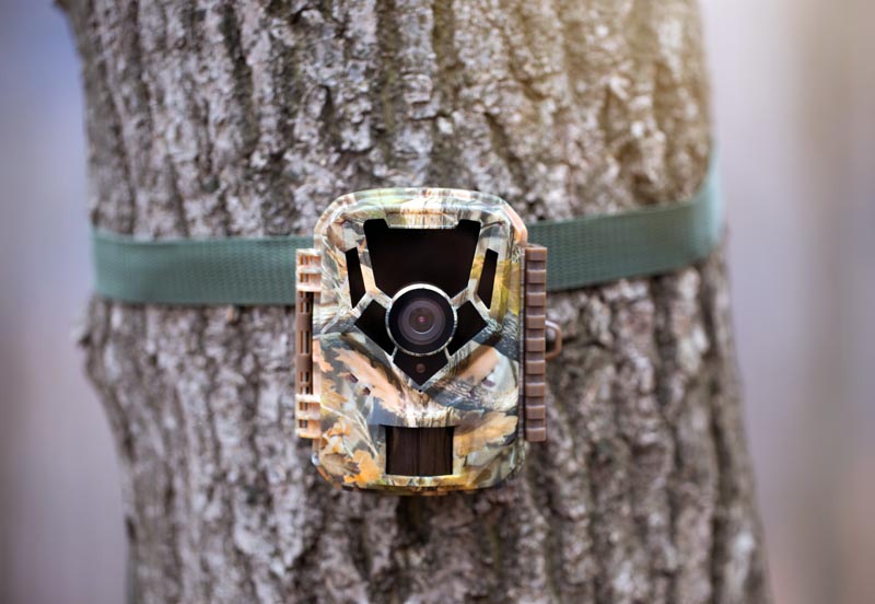 hide trail camera from humans