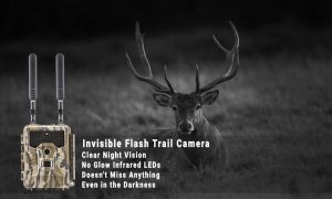 no glow trail camera for security
