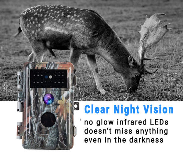 no glow trail camera for security