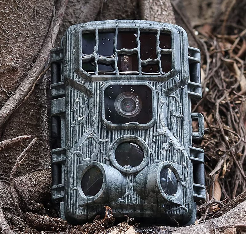 Best Trail Camera For Night Pictures