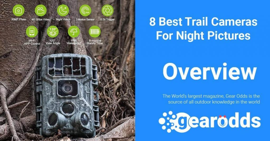 Best Trail Cameras For Night Pictures