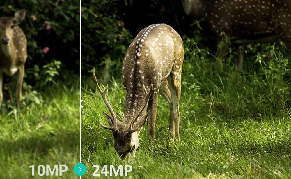 Picture quality compare - 10MP and 24MP cameras