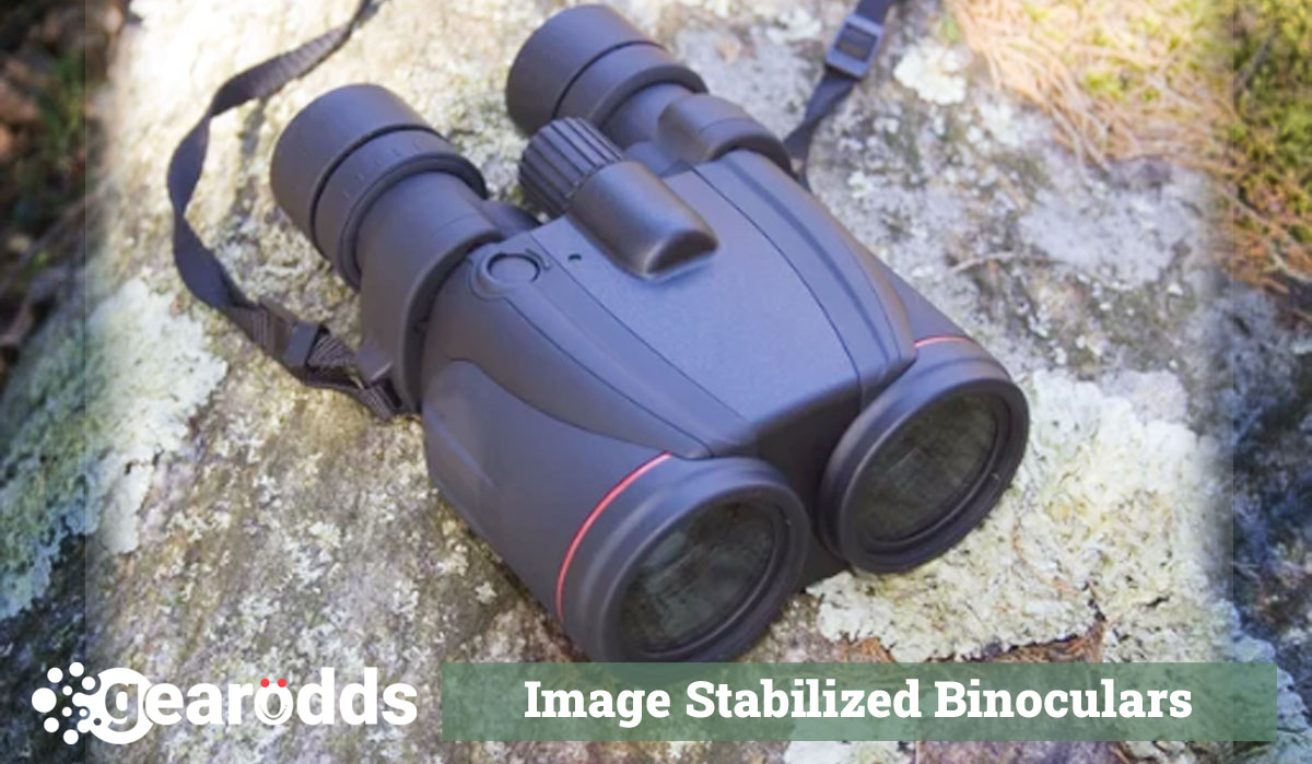 Best Stabilized Binoculars for Fishing