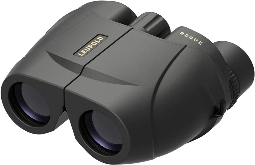 Leupold BX-1 Rogue Binocular