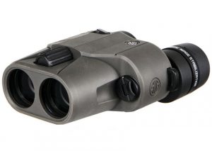 Sig Sauer ZULU6 10x30 IS Binoculars